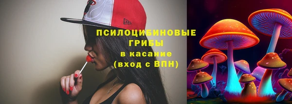гашик Покров
