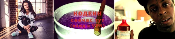 ПСИЛОЦИБИНОВЫЕ ГРИБЫ Вязьма