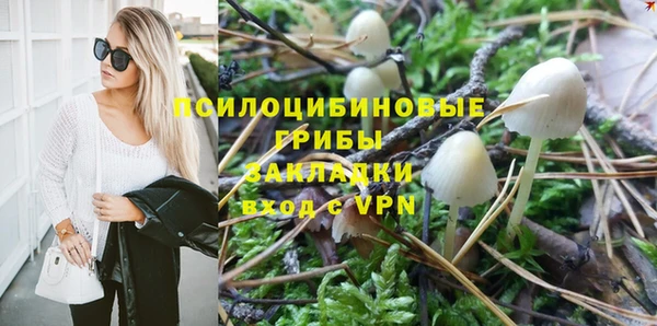 ПСИЛОЦИБИНОВЫЕ ГРИБЫ Вязьма