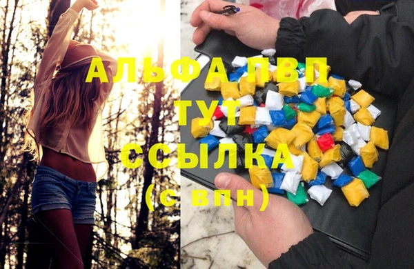 ПСИЛОЦИБИНОВЫЕ ГРИБЫ Вязьма