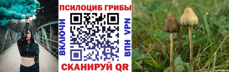 Галлюциногенные грибы прущие грибы  Мценск 